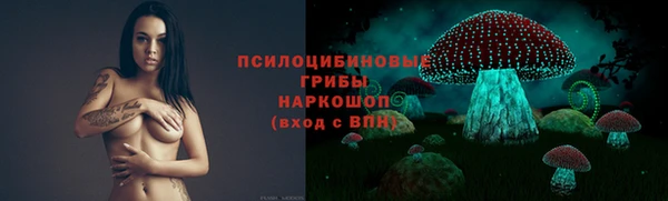 твердый Алексин