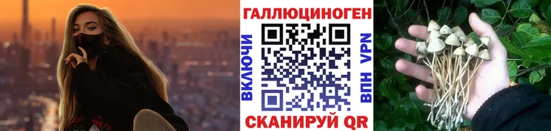 omg рабочий сайт  где найти наркотики  Заволжье  Псилоцибиновые грибы Magic Shrooms 
