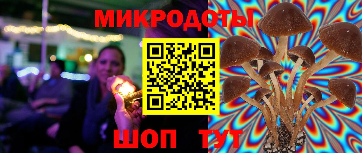 Заволжье  Галлюциногенные грибы GOLDEN TEACHER  Галлюциногенные грибы Psilocybe  Вход с VPN 